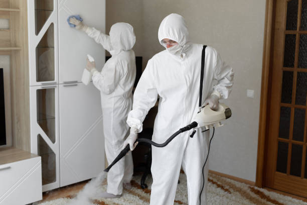 Best Toxic Mold Removal  in Staunton, IL